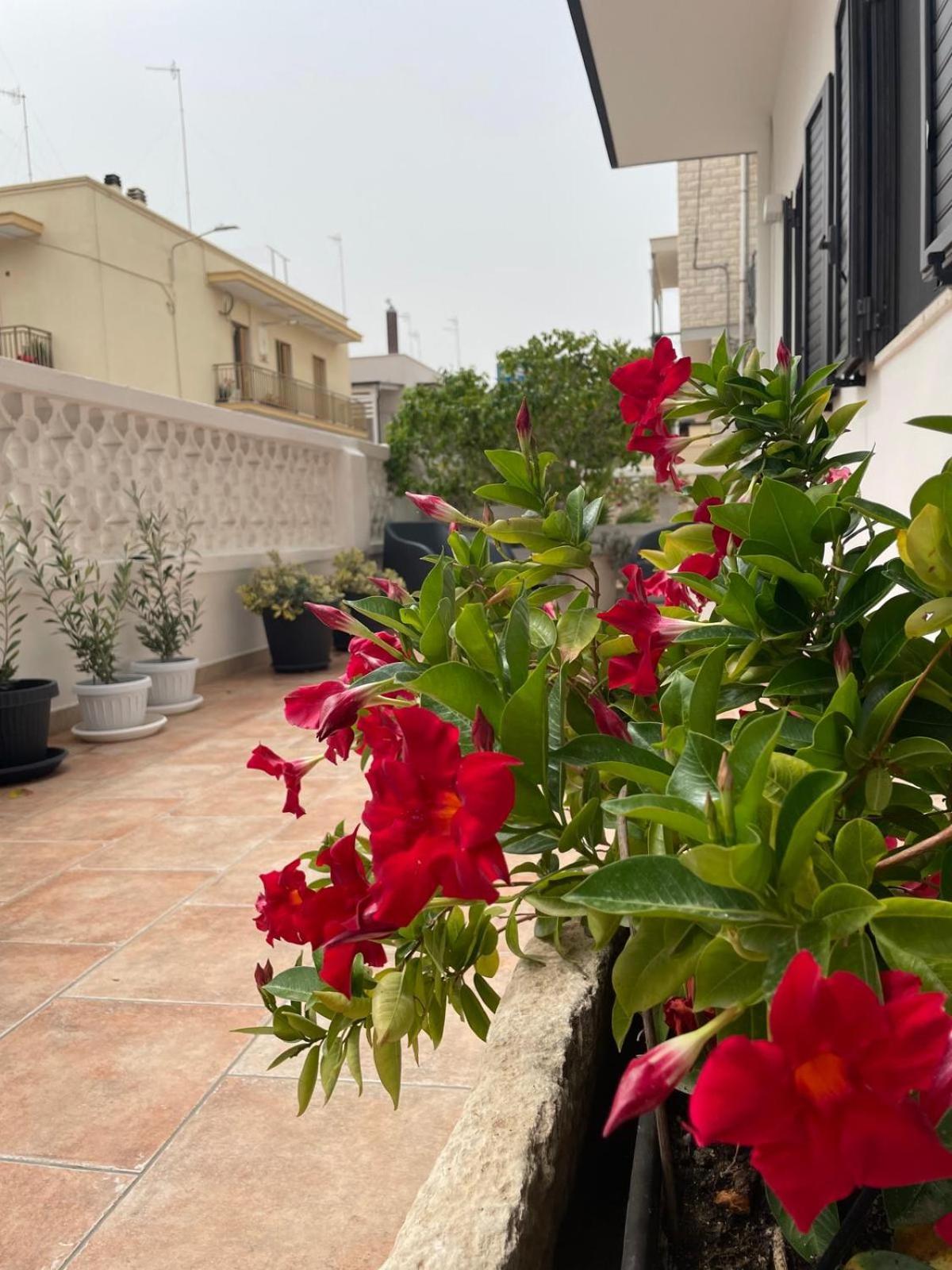 Rosa Dei Venti Villa Polignano a Mare Ngoại thất bức ảnh