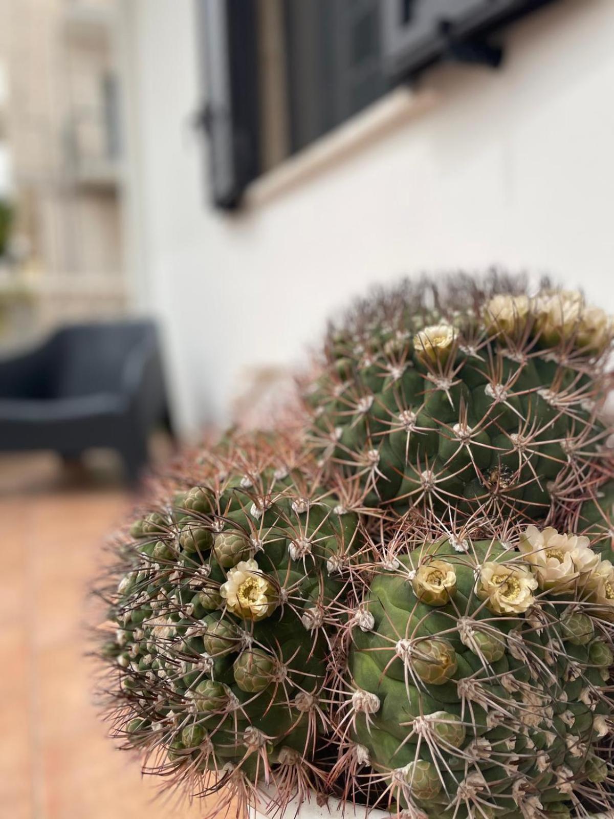 Rosa Dei Venti Villa Polignano a Mare Ngoại thất bức ảnh